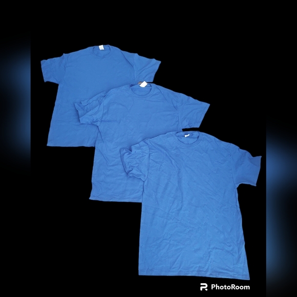 Fruit of the Loom Other - *SALE* NWOT Bundle of 3 Fruit of the Loom Blue Tees Size M